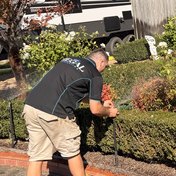 A Regal Irrigation team member in branded uniform, on site