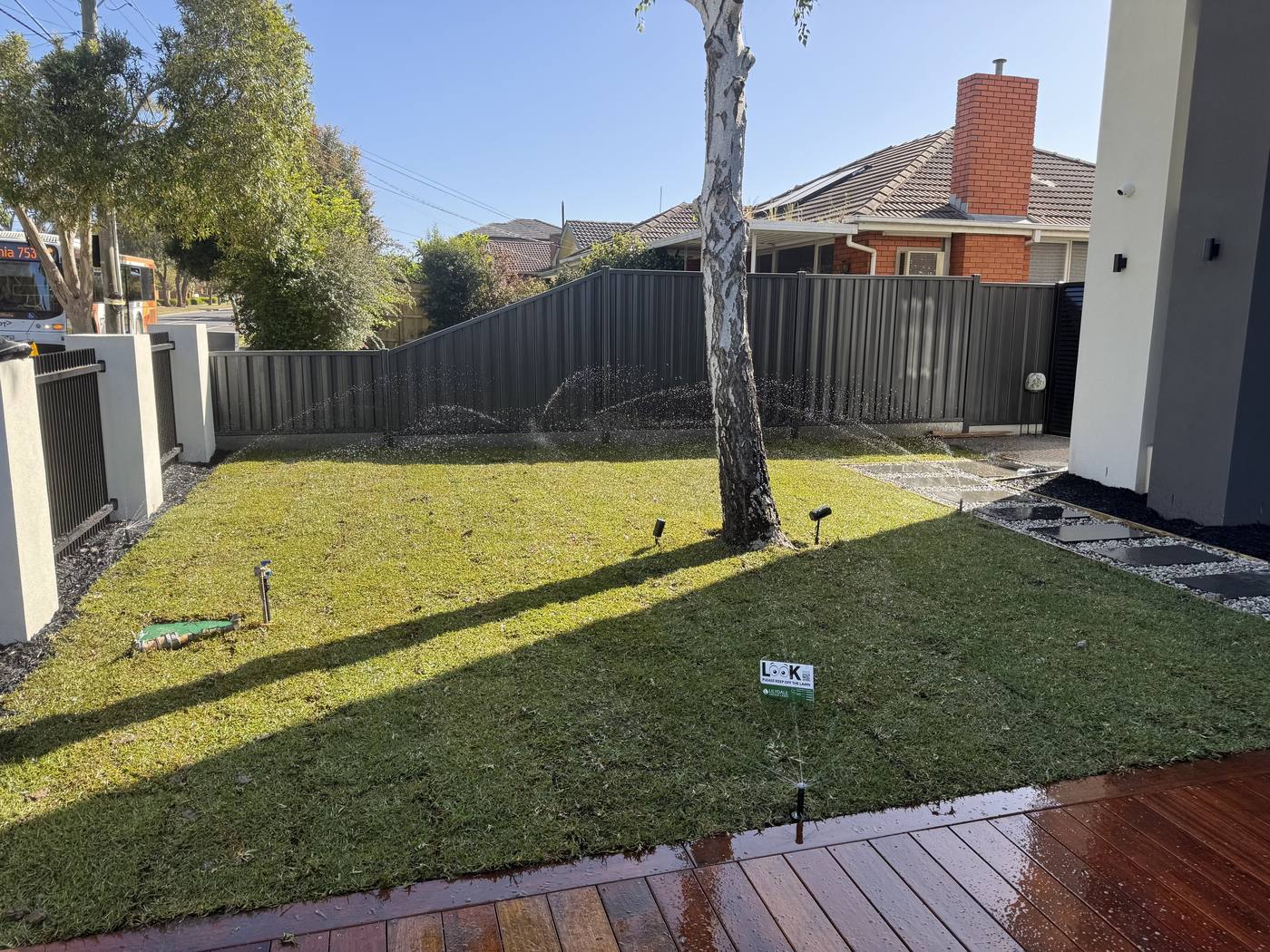 A lush green backyard lawn framed by timber decking