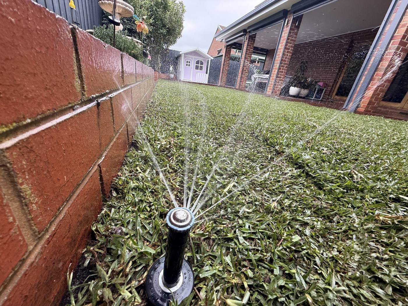 Watering a thick green lawn beside a red-brick home, Brighton