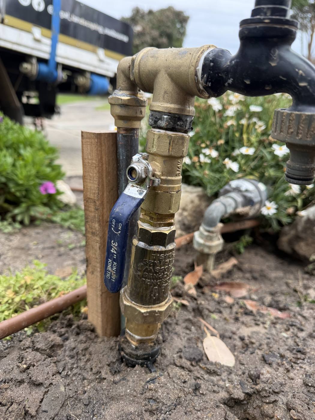 A polished brass backflow preventer set neatly in a bed